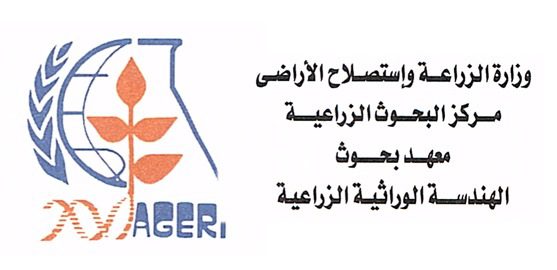  بحوث-الهندسة-الوراثية-ينظم-برنامج-تدريبي-حول-التعديل-الجينومي-وتطبيقاته…