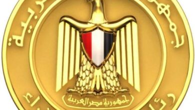 “معلومات-الوزراء”:-توقعات-باستثمار-الشركات-مليارات-الدولارات-عام-2025-في-مجال-الذكاء-الاصطناعي-لإيجاد-حلول-تضمن-لها-ميزتها-التنافسية